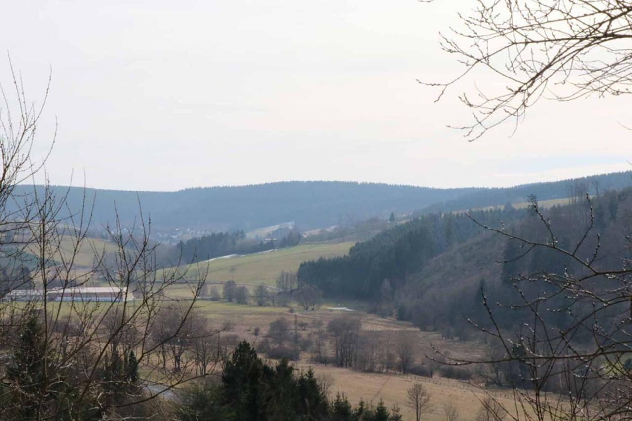 Haus Ani Winterberg Villa Luaran gambar