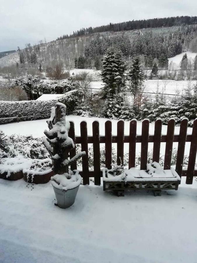 Haus Ani Winterberg Villa Luaran gambar